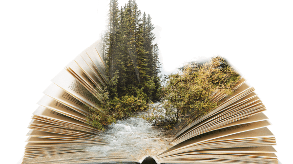 Decorative. An open book with a forest running through it.