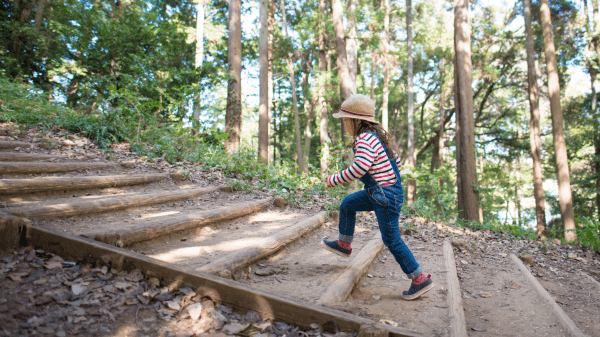 Quality Outdoor Play Environments: How Good Design Integrates Nature and Loose Parts to Support Healthy Play and Development in Young Children A child walks up a hill along some wood and dirt steps; behind them is a forested area with trees