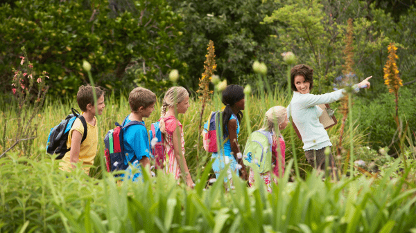 Early Learners Environmental Education Walk Four young children follow an adult pointing in front of them through a grassy field