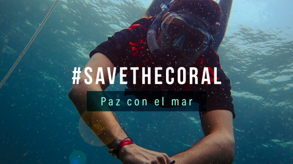 Save the Coral Saving the corals reef check project 2025 in Cartagena, Colombia; a diver faces the camera with blue water behind them