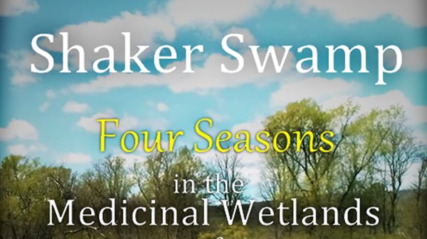 Text reads "Shaker Swamp: Four Seasons in the Medicinal Wetlands of New Lebanon, New York" against a green swamp landscape background