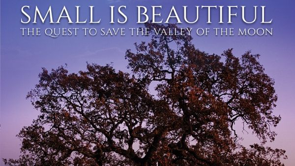 Small is Beautiful: The Quest to Save the Valley of the Moon documentary movie poster