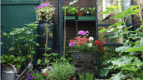 Photo of outdoor garden with workshop title, cost, and short description.