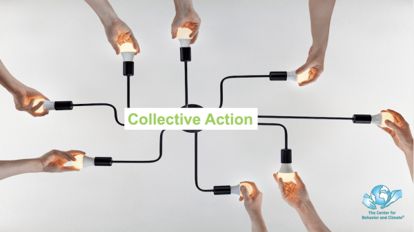Image of multiple hands holding multiple light bulbs signifying collective action
