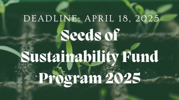 Ceiba Foundation for Tropical Conservation: Seeds of Sustainability Fund The background is a slightly blurred image of seedlings growing in small, square pots, suggesting growth and sustainability.