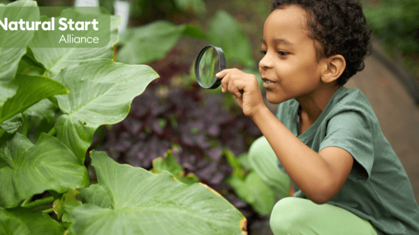 little boy crouched down looking at plant through magnifying glass