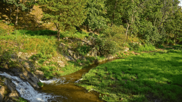 Spring Retreat A green landscape on a hill covered in trees elevating to the left; a small body of running water cuts through it