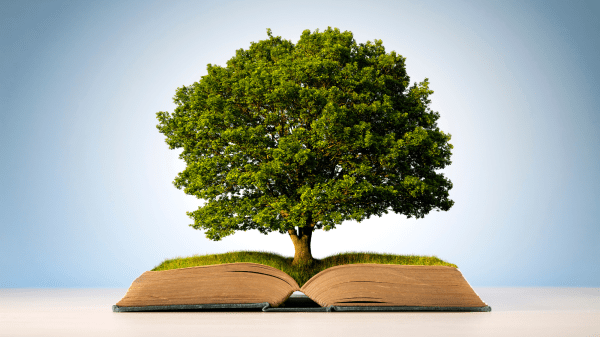 Subject to Climate Recommended Reading A book is open on a light brown desk with a light blue background behind it; a tree is growing between the pages of the book