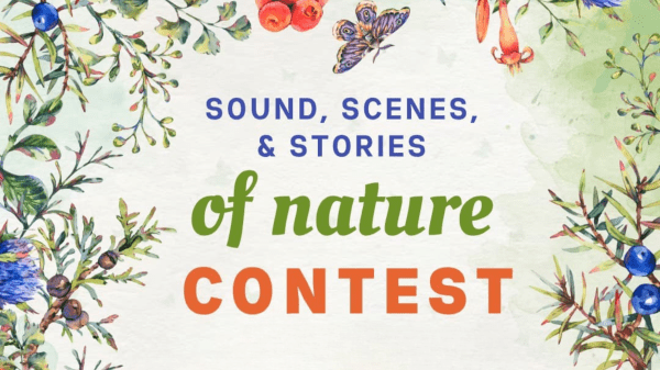 Illustrations of leaves, flowers, and butterflies frame the graphic and in the center is text: Sound, Scenes, and Stories of Nature Contest.
