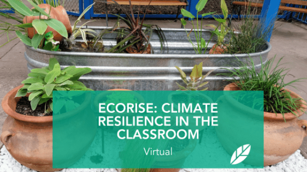 EcoRise: Climate Resilience in the Classroom Workshop Text on a green transparent background reads "EcoRise: Climate Reslience in the Classroom, Virtual"; behind this are potted green plants and a steel tub with plants inside