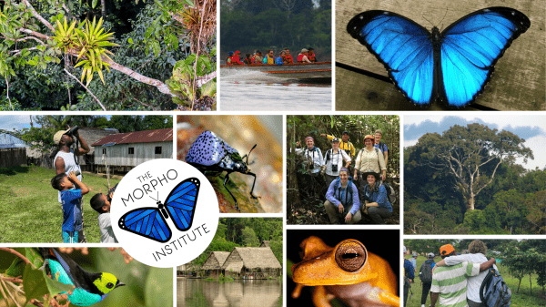 photo collage depicting Morpho Institute field programs