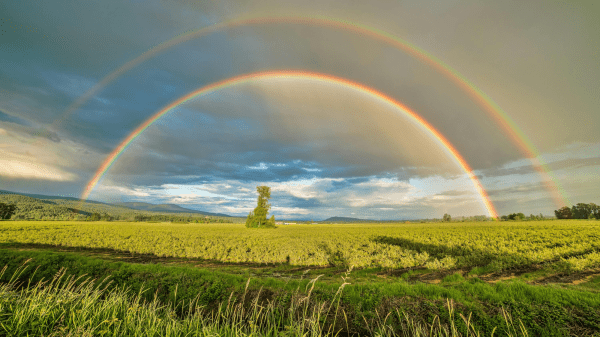 The Intersectional Environmentalist A double rainbow arcs across a cloudy sky above a grassy field