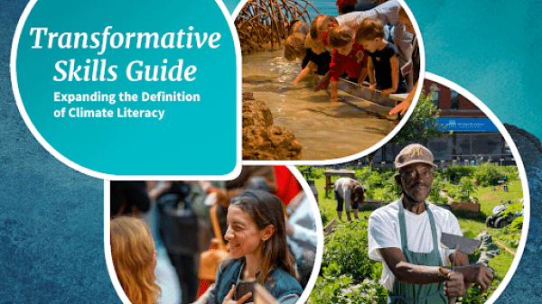 Transformative Skills Guide