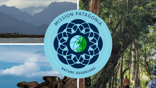 a collage of three images, one with a mountainscape, one of a group of sealions on a rock, and one of people walking through a temperate rainforest