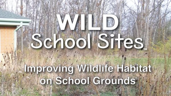 WILD School Sites Cover of WILD School Sites pdf showing schoolyard habitat