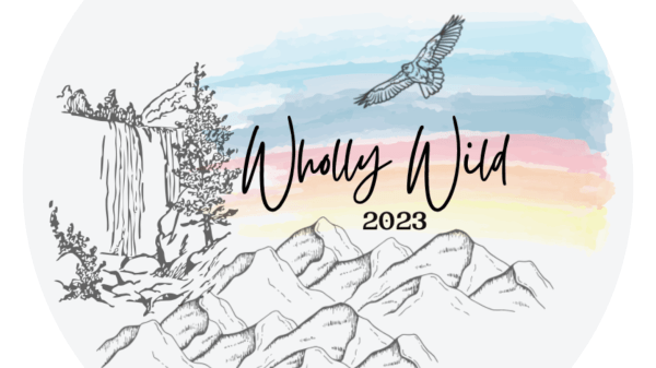 Wholly Wild Logo displaying sketch illustrations of hills, an evergreen tree, a waterfall, and watercolor pastel blue, pink and yellow sky
