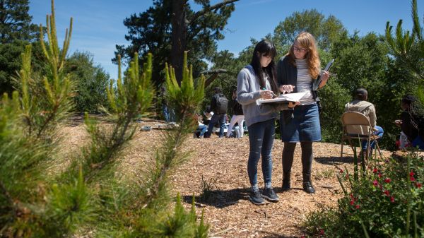 Photo by Allison Shelley/The Verbatim Agency for EDUimages A student and a teacher stand outside in an open forest on a sunny day
