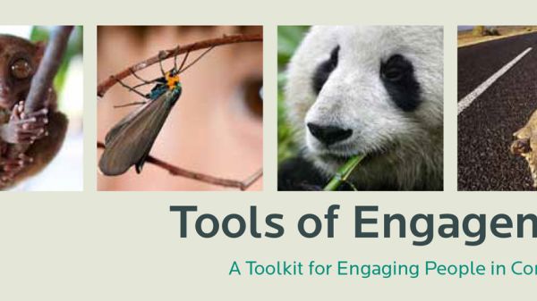 Tools of Engagement cover