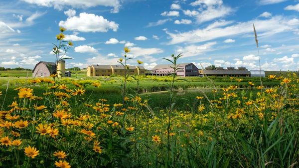 Scenic view of the Prairie Wetlands Learning Center on a gorgeous summer day with a blue sky, white puffy clouds, and green tall grasses with yellow sunflowers.  Photo credit:  Eric Strand