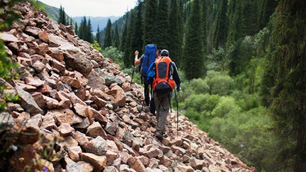 Backpacking Two hikers with poles walk along a rocky hill to the left of them; to the right is a forest of tall green trees