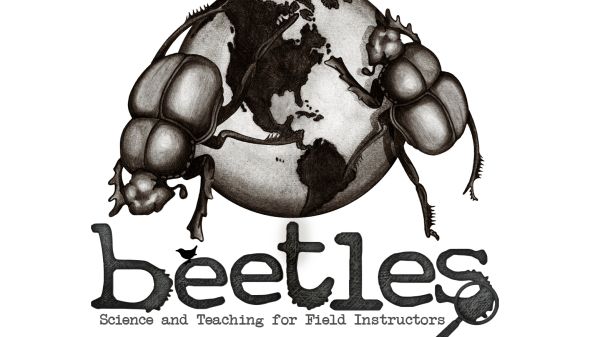 Beetles: Science and Teaching for Field Instructors