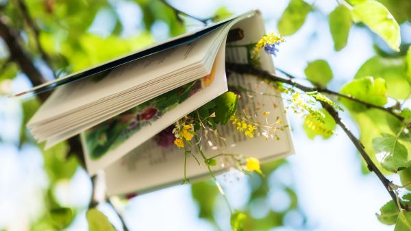 book draped over tree branch