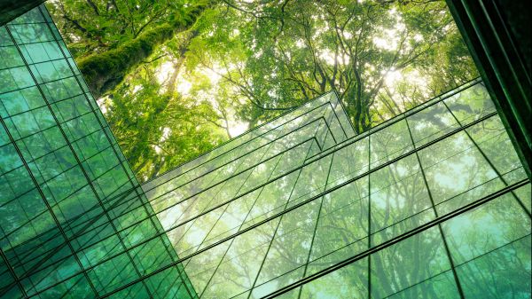 Eco-Friendly Building A green glass building is rising toward the top of the image; behind it are a number of leafy trees