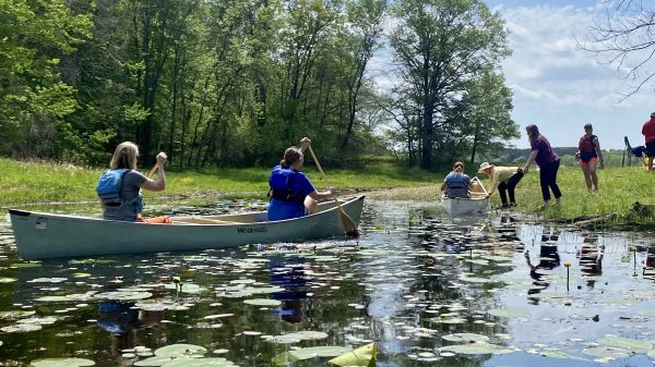 Teachers exploring a shoreline on foot and in canoes. The water is calm and there are lily pads on the surface. The sky is blue with a few clouds.