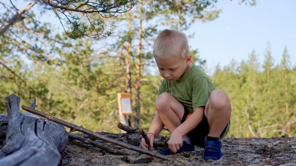 child playing with sticks on fallen tree branch