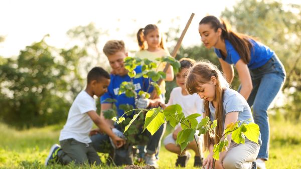 PEYA Six people, four of them children, gather around a small tree being planted in the soil; behind them a number of trees can be seen