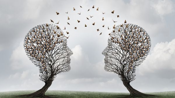 Two trees facing with birds flying between