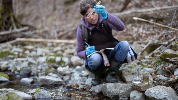 Person testing water by a creek