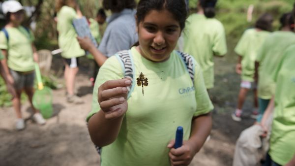 A young middle school girl holding up a dragonfly to the camera. She is smiling and is wearing a bright green Green Girls t-shirt.