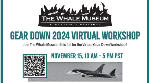 TWM's 2024 virtual Gear Down Workshop TWM's 2024 virtual Gear Down Workshop