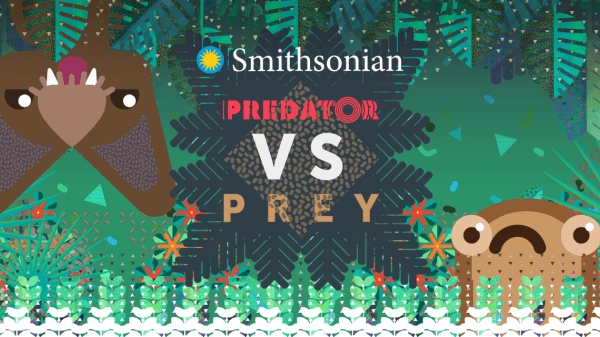 Banner of the event reads Smithsonian, Predator vs Prey. It has an animation of an upside down fringe-lipped bat on the top left corner and a túngara frog on the bottom right. 