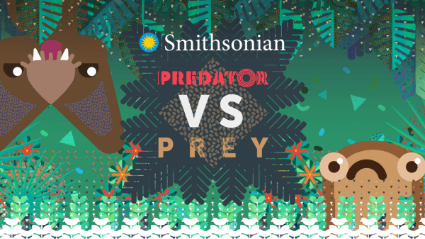 Banner of the event reads Smithsonian, Predator vs Prey. It has an animation of an upside down fringe-lipped bat on the top left corner and a túngara frog on the bottom right.