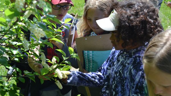 Students learning outside Three students examine cherry blossoms with their eyes and hands on a sunny spring day while holding their clipboards and journals.