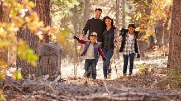 A family walks along a wooded trail