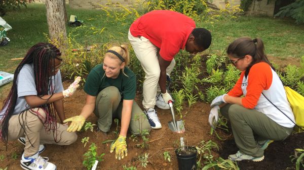 Four people with hand trowels planting by a light-colored brick wall