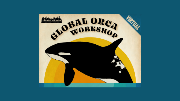 Graphical depiction of an orca with a white world map pattern on their back jumping out of a blue line; text reads "The Whale Museum, Global Orca Workshop, Virtual"