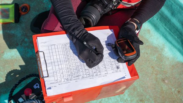 Top view of an unrecognizable marine biologist writing data on a paper on a boat