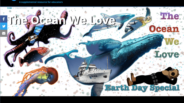 Graphic representation of ocean organisms called the ocean we love.