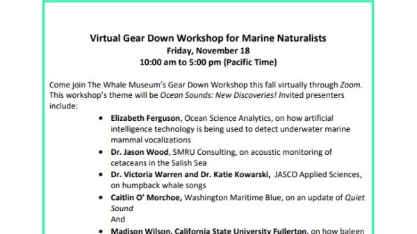 White background flyer with text included in the body of the post