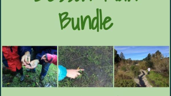 Forest school lesson plan bundle 