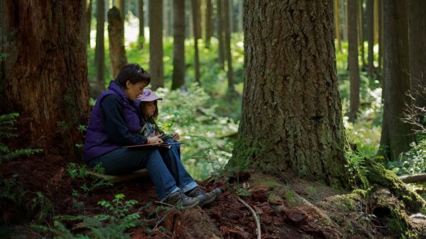 child sitting at base of tree in forest