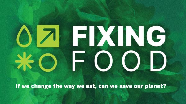 Fixing Food Fixing Food