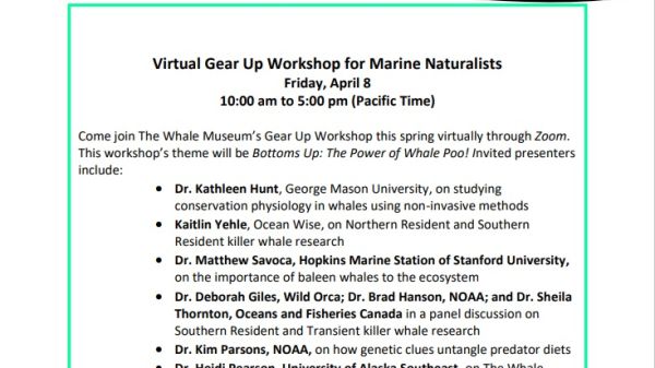 White background with black text included in post. Illustration of an orca whale on the upper left corner.