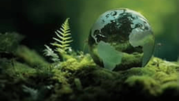 Book cover titled "Fostering Sustainable Behavior"