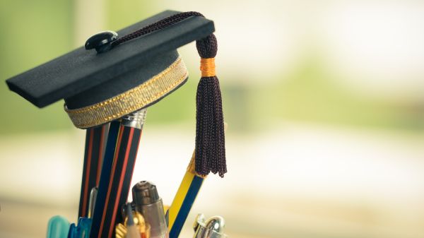 Ph.D. Opportunity A graduate cap sits on top of pencils in a cup in front of a blurred greenish background