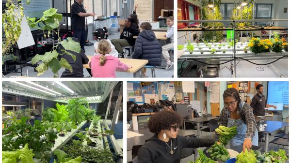 Photo grid of students in classroom lab setting surrounded by growing plants